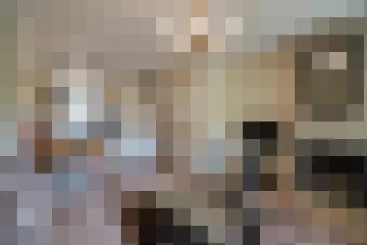 Parklaan 91 Reuver thumbnail 8