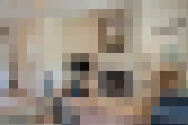 Parklaan 91 Reuver thumbnail 9