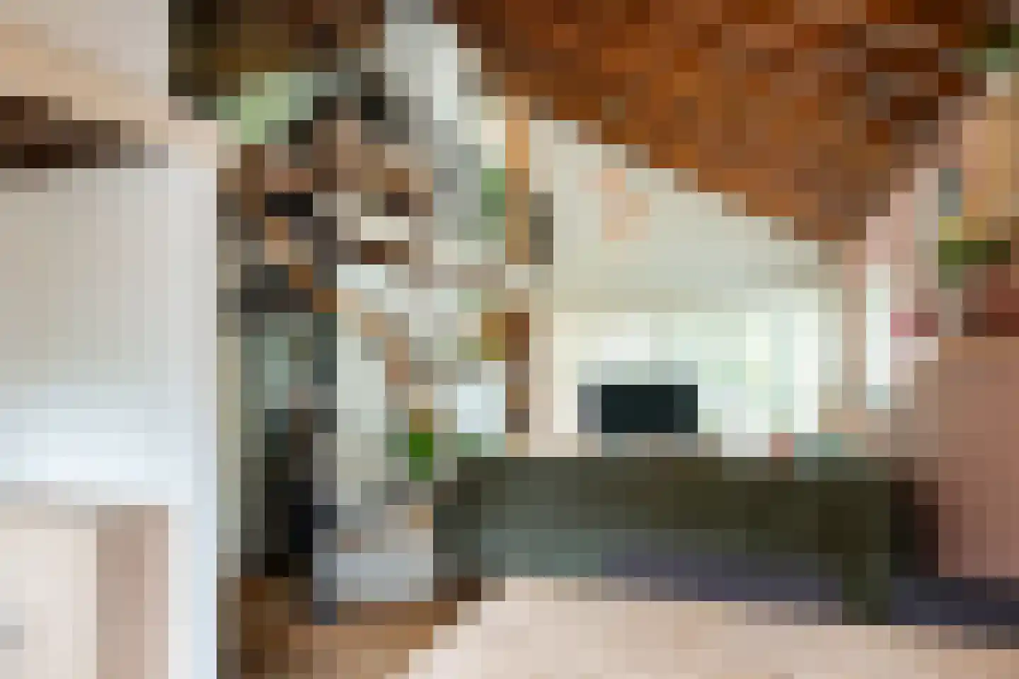Parklaan 92 Putte thumbnail 11
