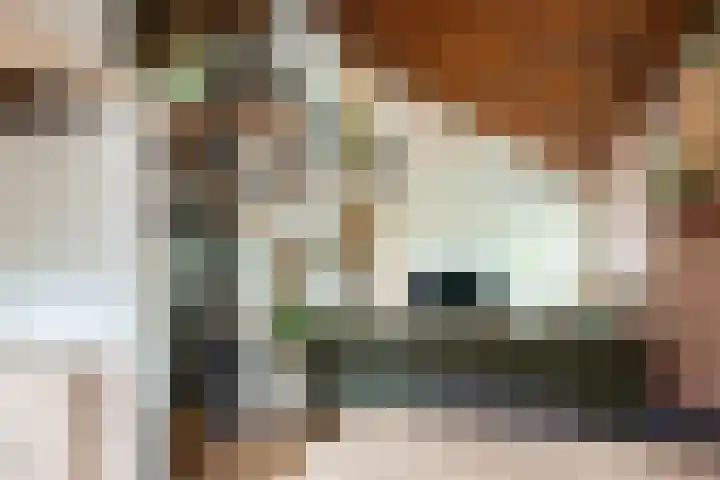 Parklaan 92 Putte thumbnail 11