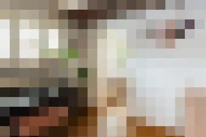 Parklaan 92 Putte thumbnail 13