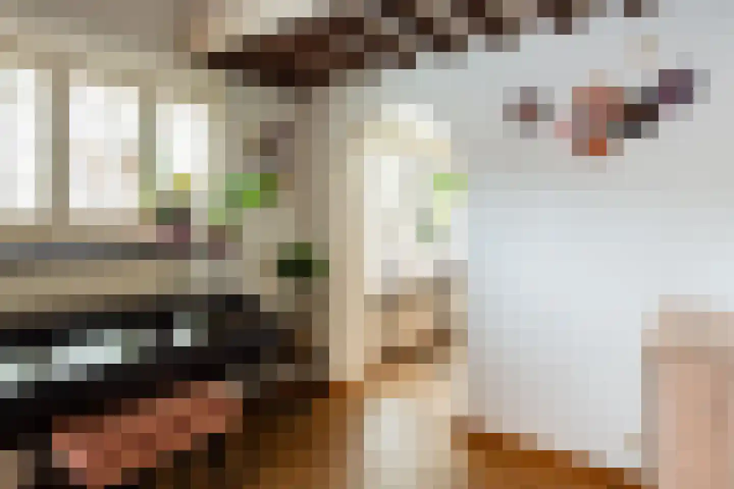 Parklaan 92 Putte thumbnail 13
