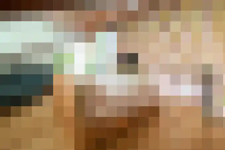 Parklaan 92 Putte thumbnail 19