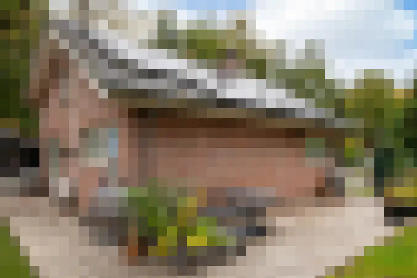 Parklaan 92 Putte thumbnail 28