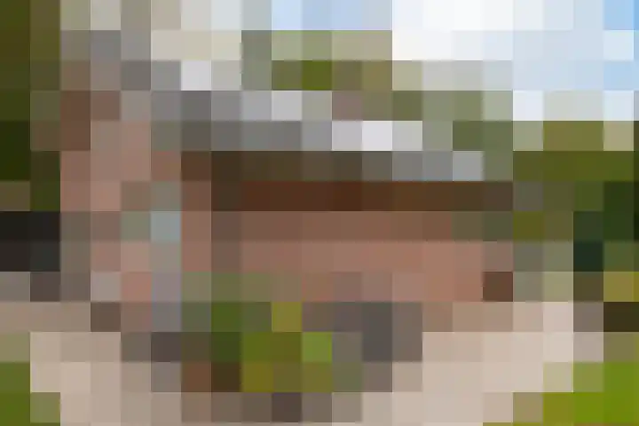 Parklaan 92 Putte thumbnail 28