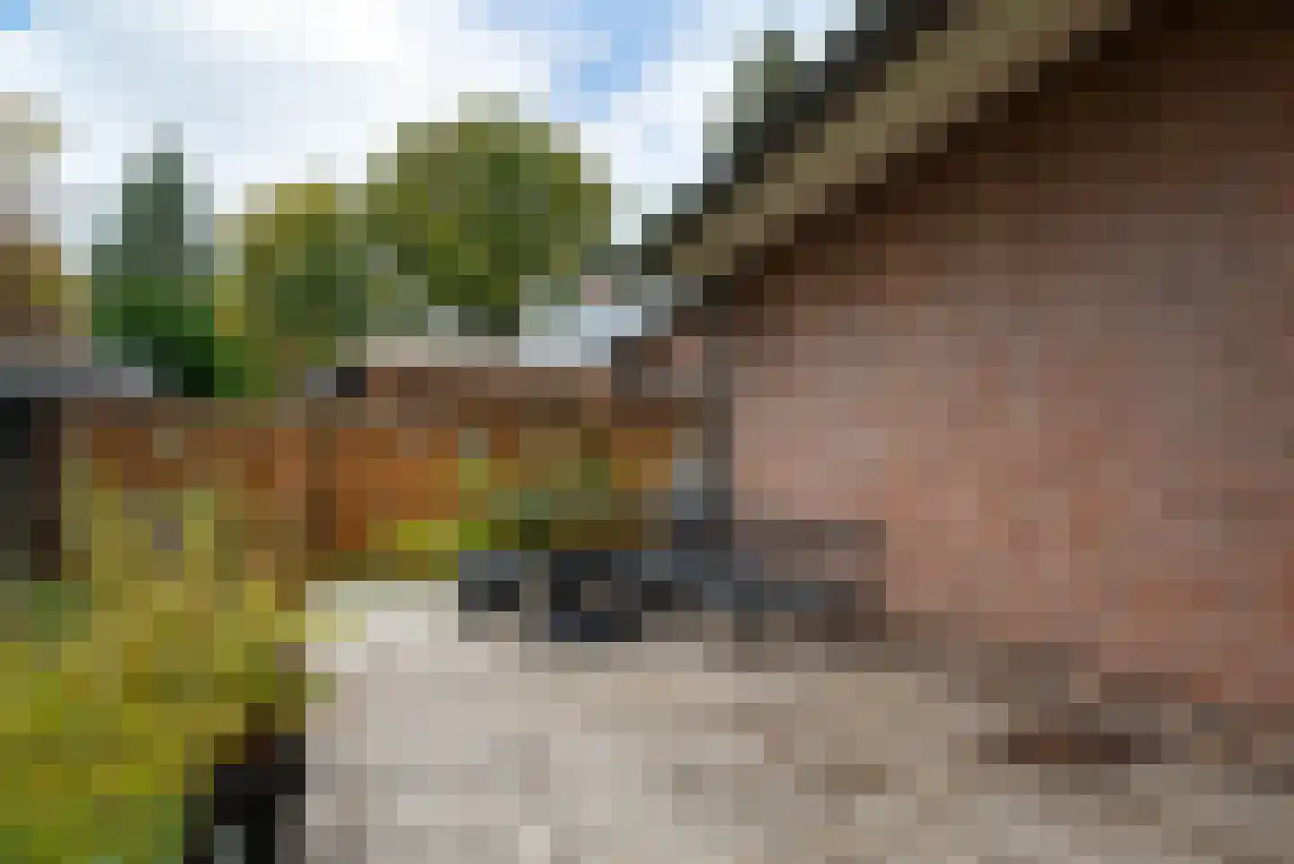 Parklaan 92 Putte thumbnail 30