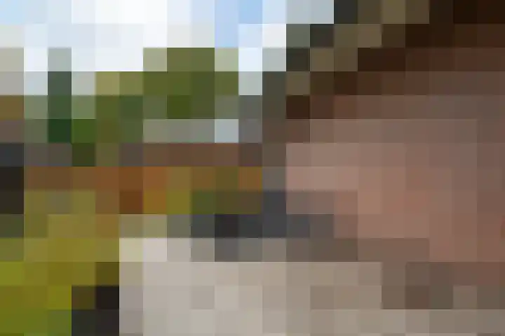 Parklaan 92 Putte thumbnail 30