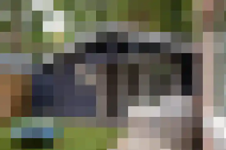 Parklaan 92 Putte thumbnail 32