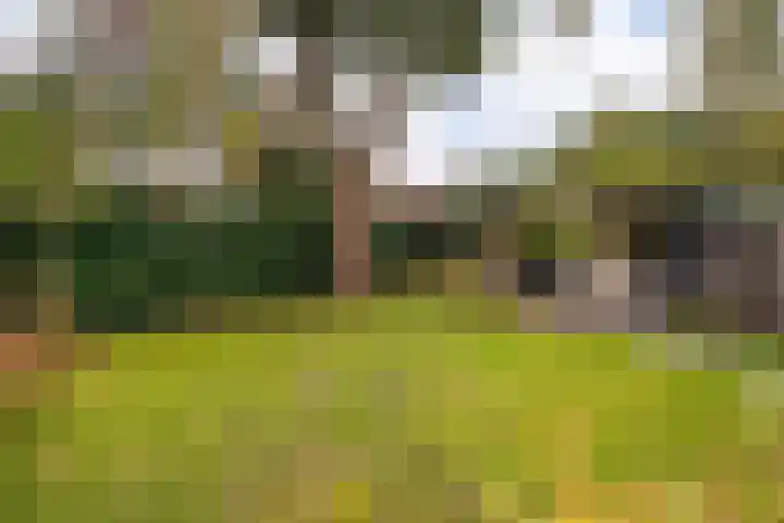 Parklaan 92 Putte thumbnail 33