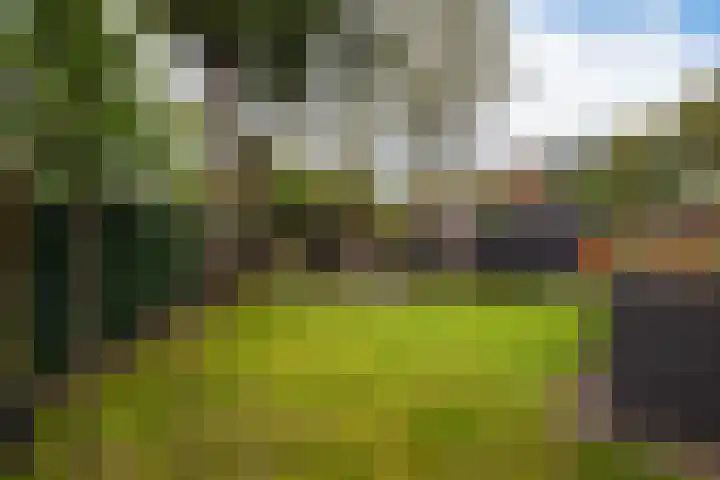 Parklaan 92 Putte thumbnail 34