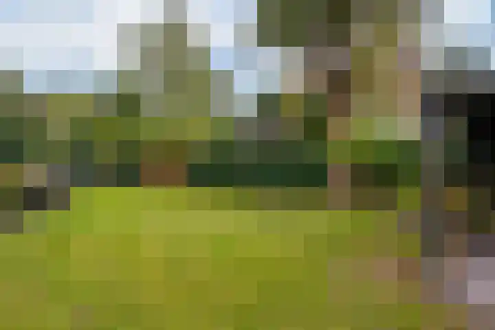 Parklaan 92 Putte thumbnail 35
