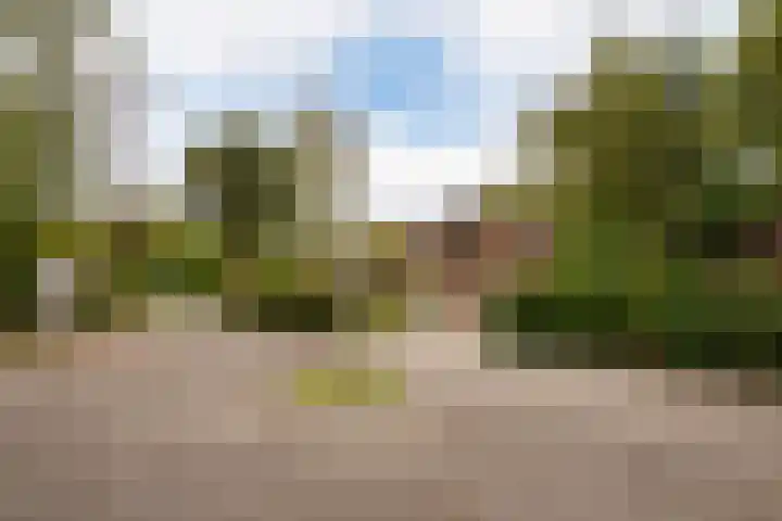 Parklaan 92 Putte thumbnail 38
