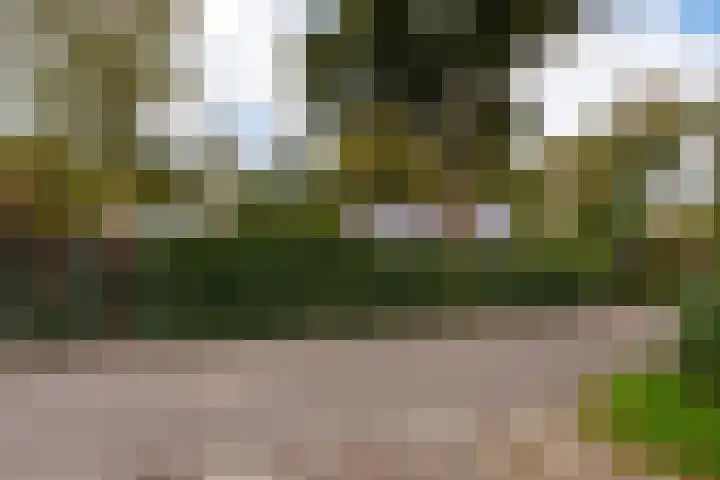 Parklaan 92 Putte thumbnail 39