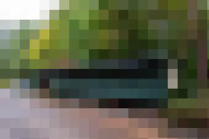 Parklaan 92 Putte thumbnail 40