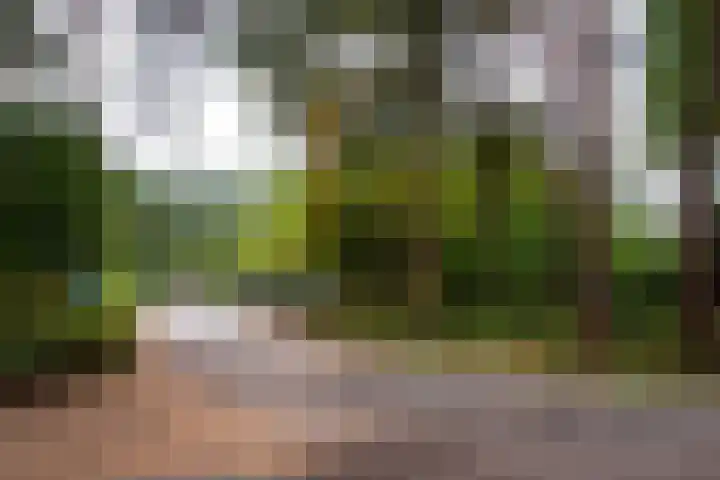 Parklaan 92 Putte thumbnail 41