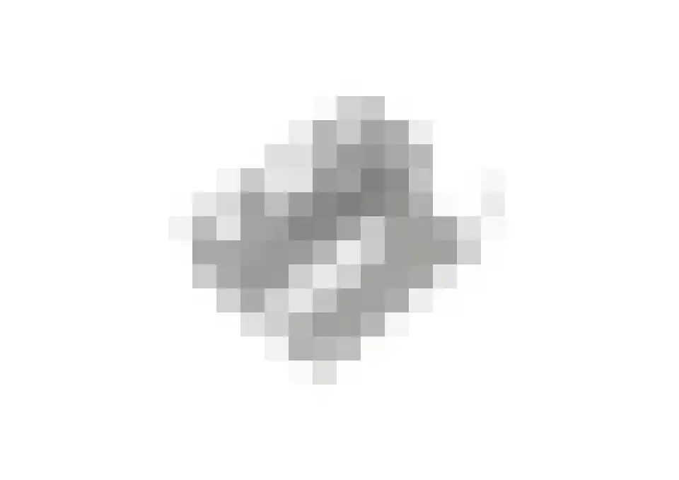 Parklaan 92 Putte thumbnail 48