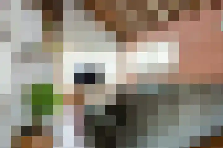 Parklaan 92 Putte thumbnail 6
