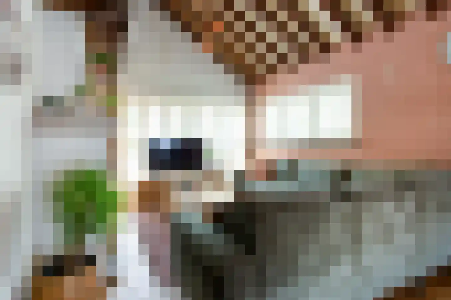 Parklaan 92 Putte thumbnail 6