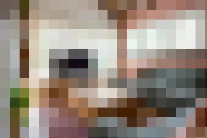 Parklaan 92 Putte thumbnail 7