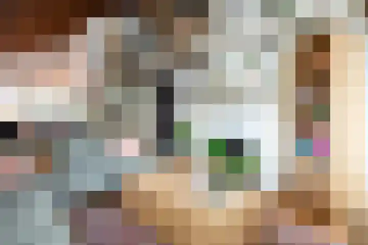 Parklaan 92 Putte thumbnail 8