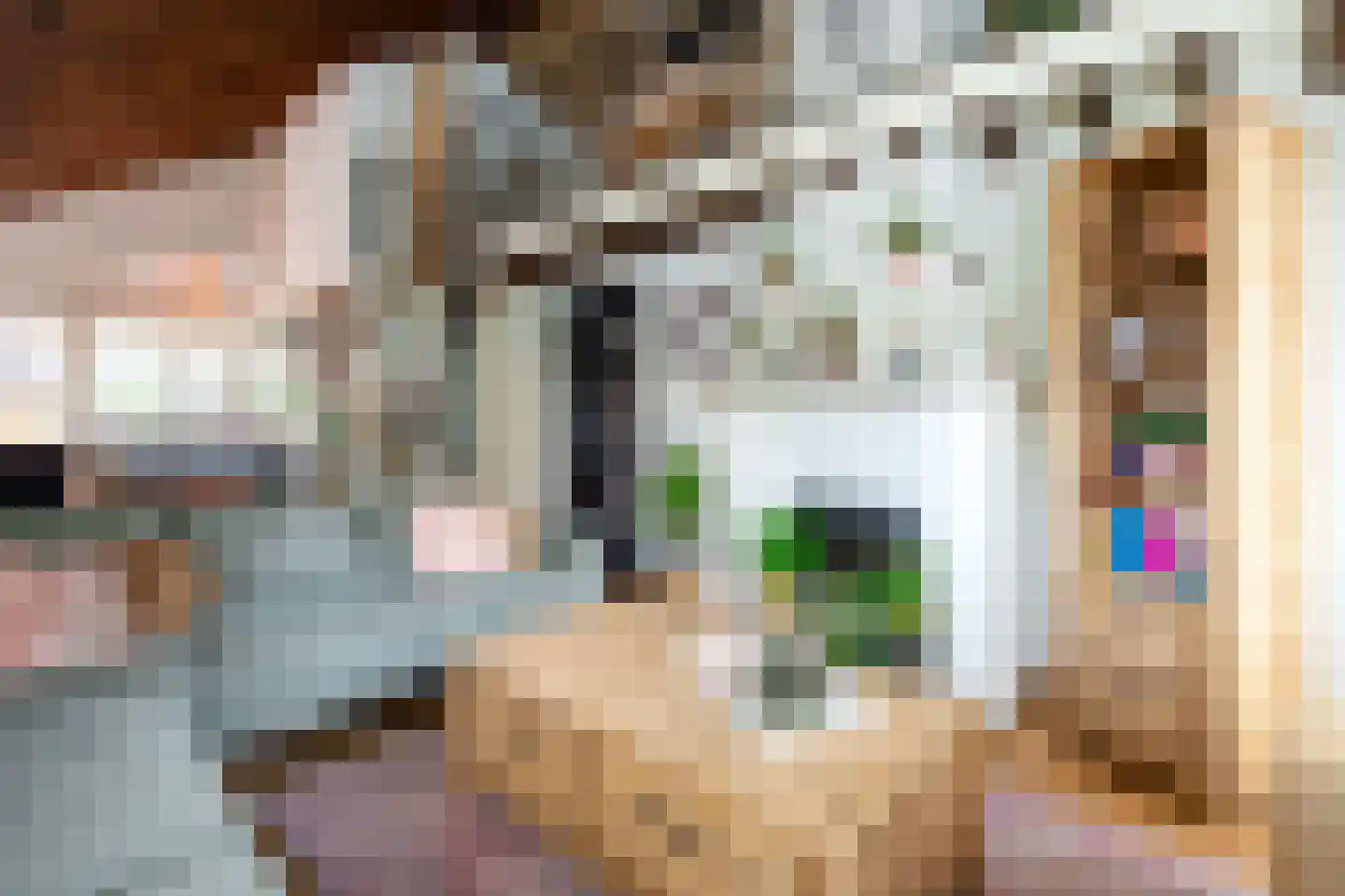 Parklaan 92 Putte thumbnail 8