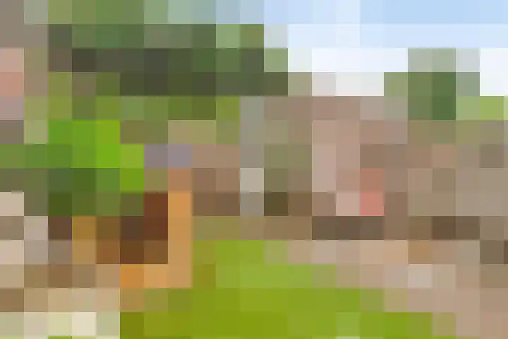 Parklaan 93 Boskoop thumbnail 24