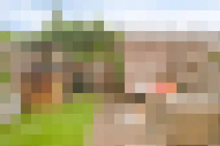 Parklaan 93 Boskoop thumbnail 25