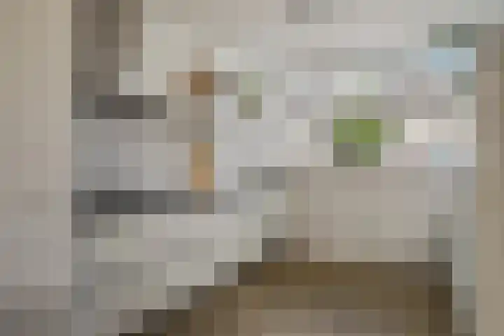 Parklaan 93 Boskoop thumbnail 9