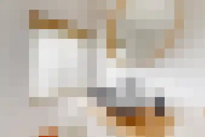 Parklaan 93 Sassenheim thumbnail 13