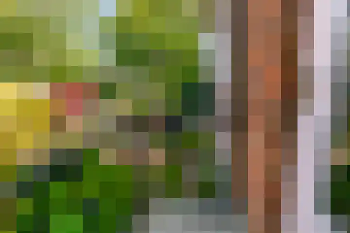 Parklaan 93 Sassenheim thumbnail 19