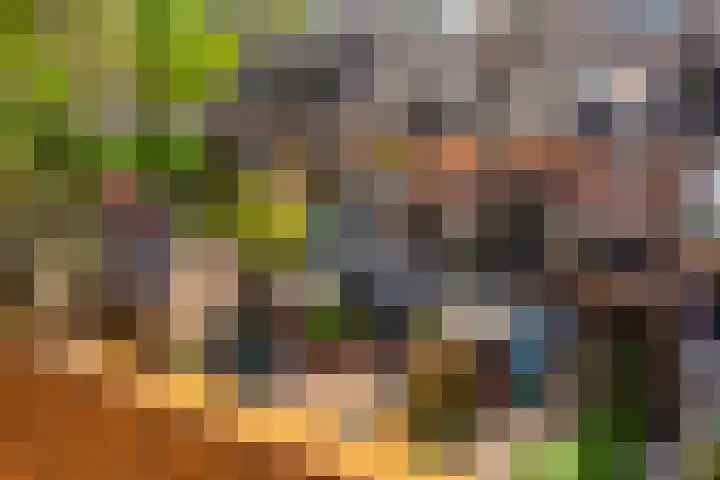 Parklaan 93 Sassenheim thumbnail 26
