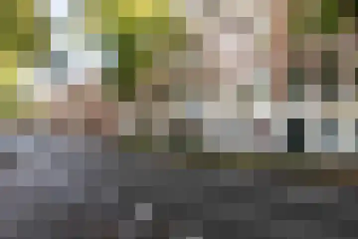Parklaan 94 D Haarlem thumbnail 34