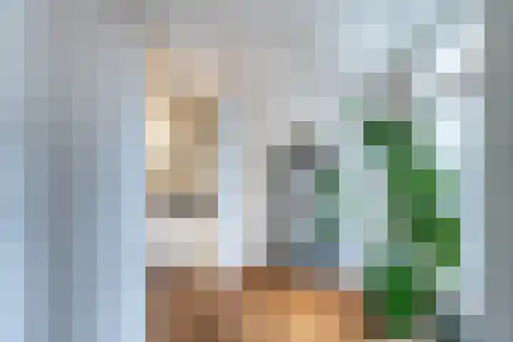 Parklaan 94 D Haarlem thumbnail 9