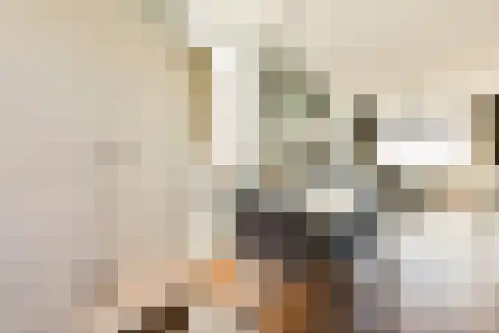Parklaan 96 Hoofddorp thumbnail 6
