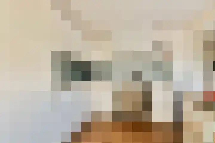 Parklaan 96 Hoofddorp thumbnail 7
