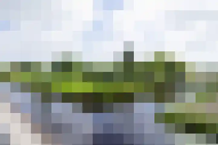 Parklaan 97 Boskoop thumbnail 15