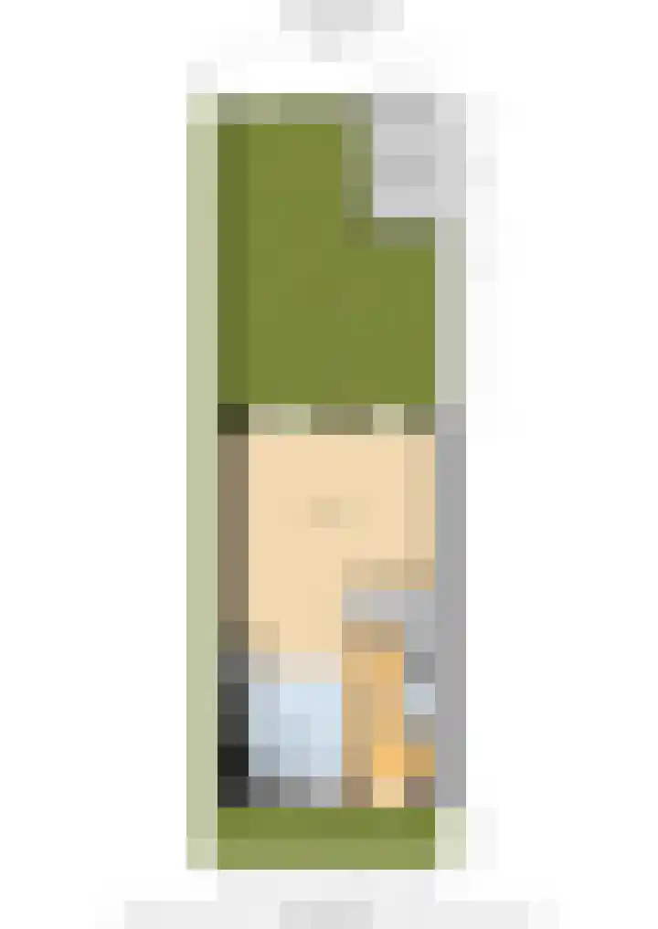 Parklaan 97 Boskoop thumbnail 26