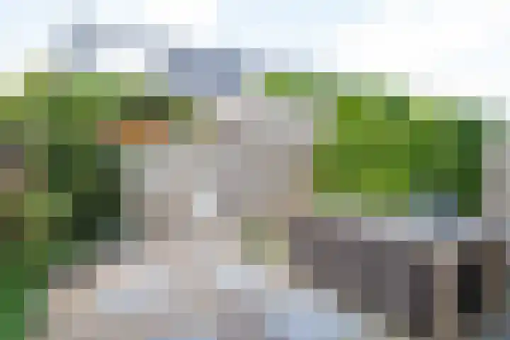 Parklaan 97 Boskoop thumbnail 8