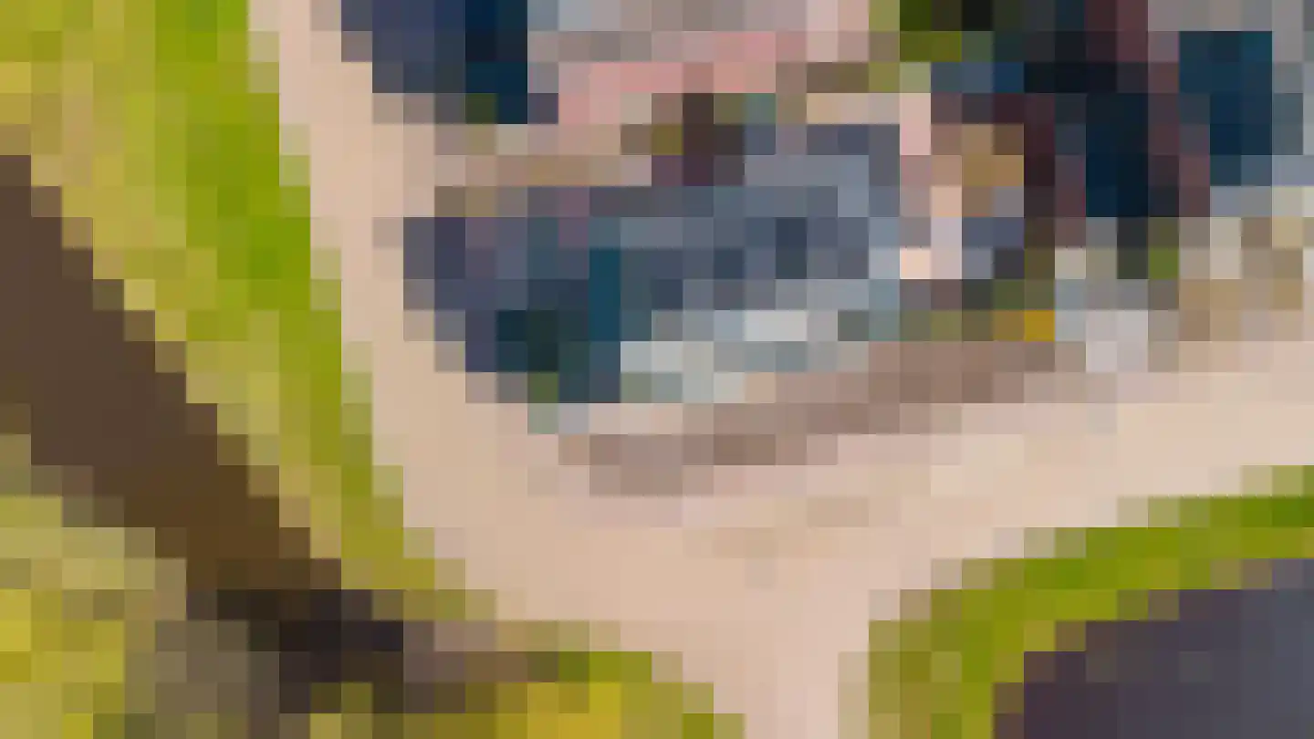 Parkleane 46 Gorredijk thumbnail 20