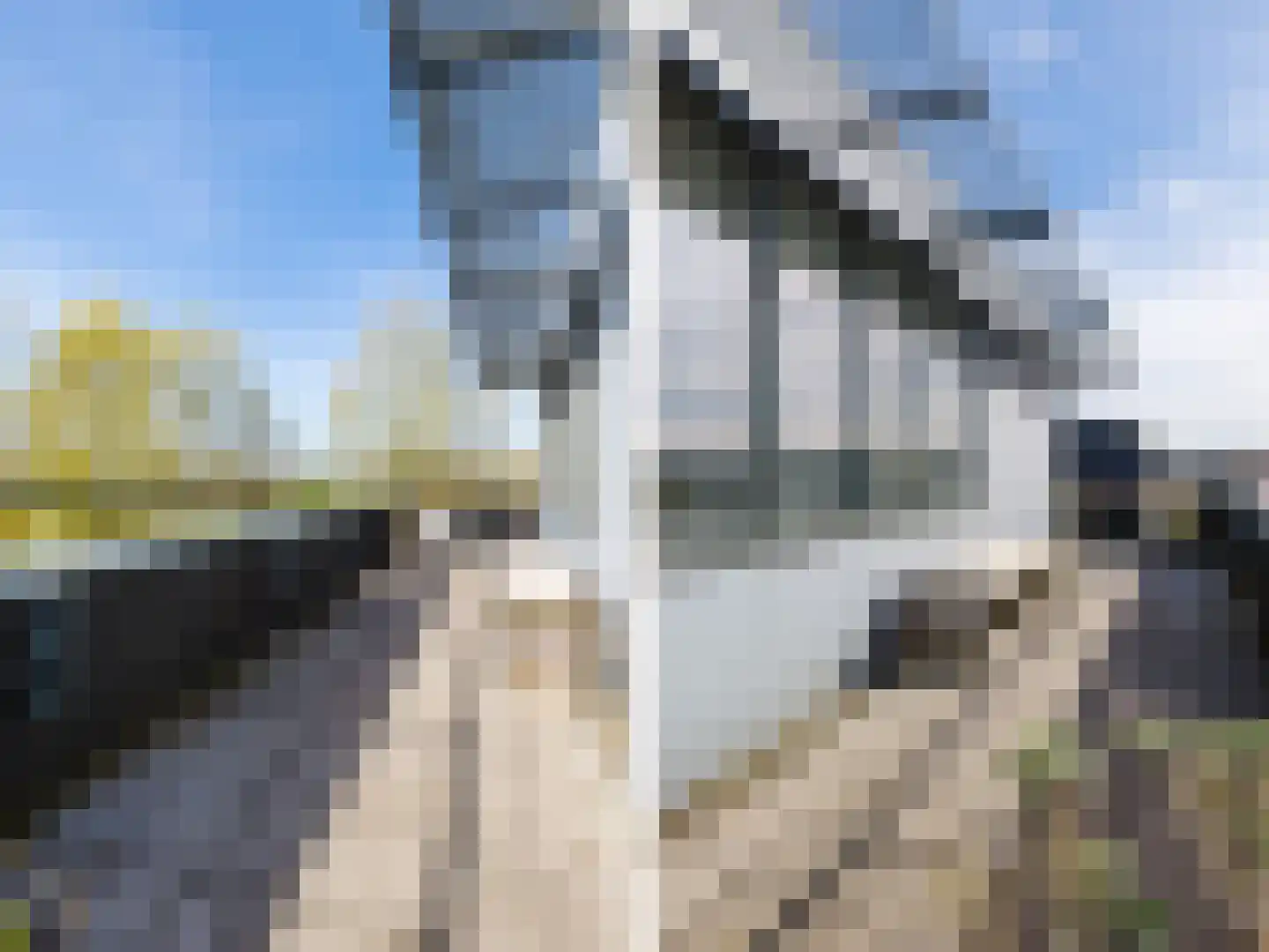 Parkleane 46 Gorredijk thumbnail 62