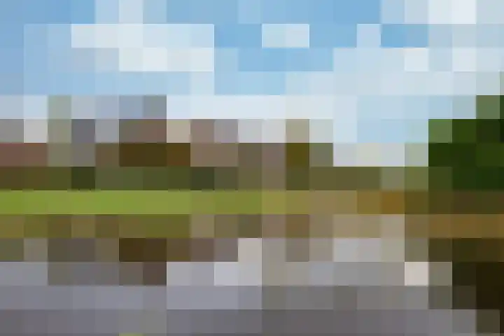 Parkleane 9 Gorredijk thumbnail 6