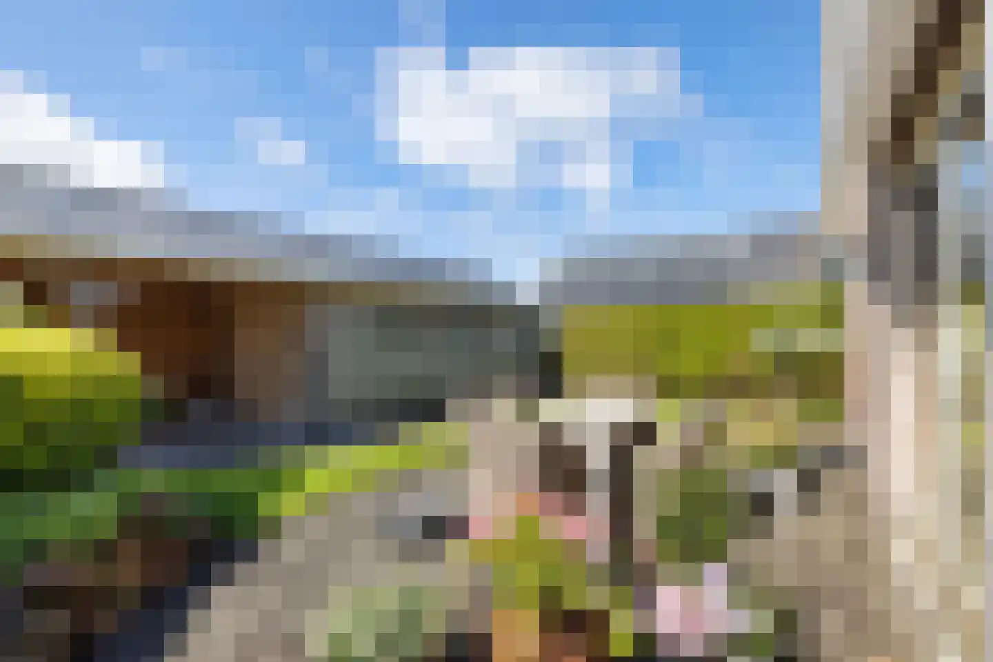 Parkloane 87 De Westereen thumbnail 29