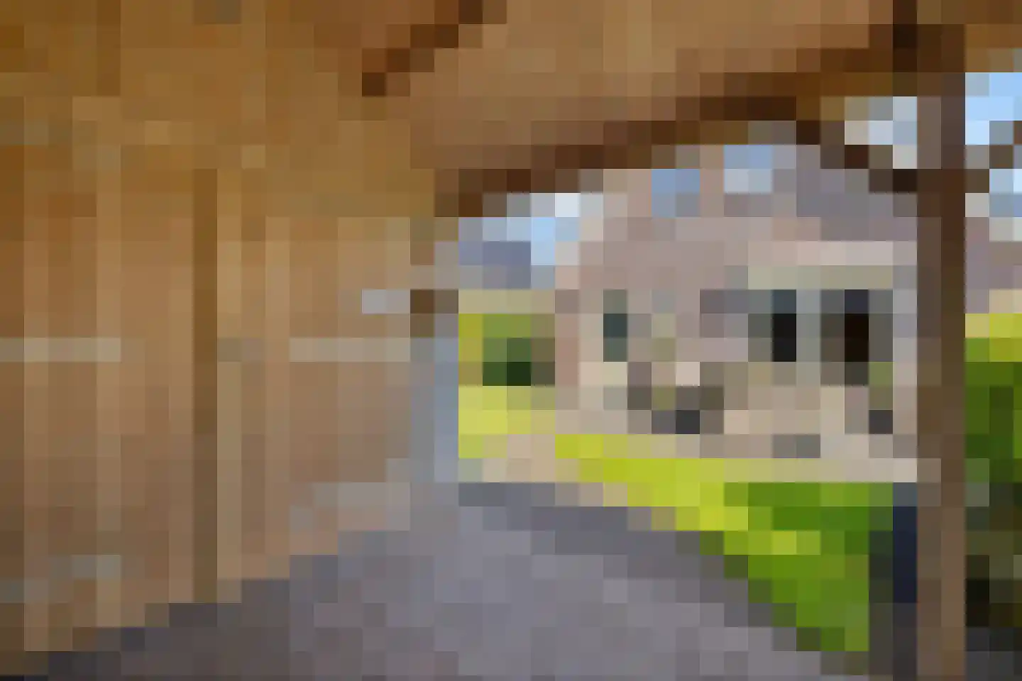 Parkloane 87 De Westereen thumbnail 31