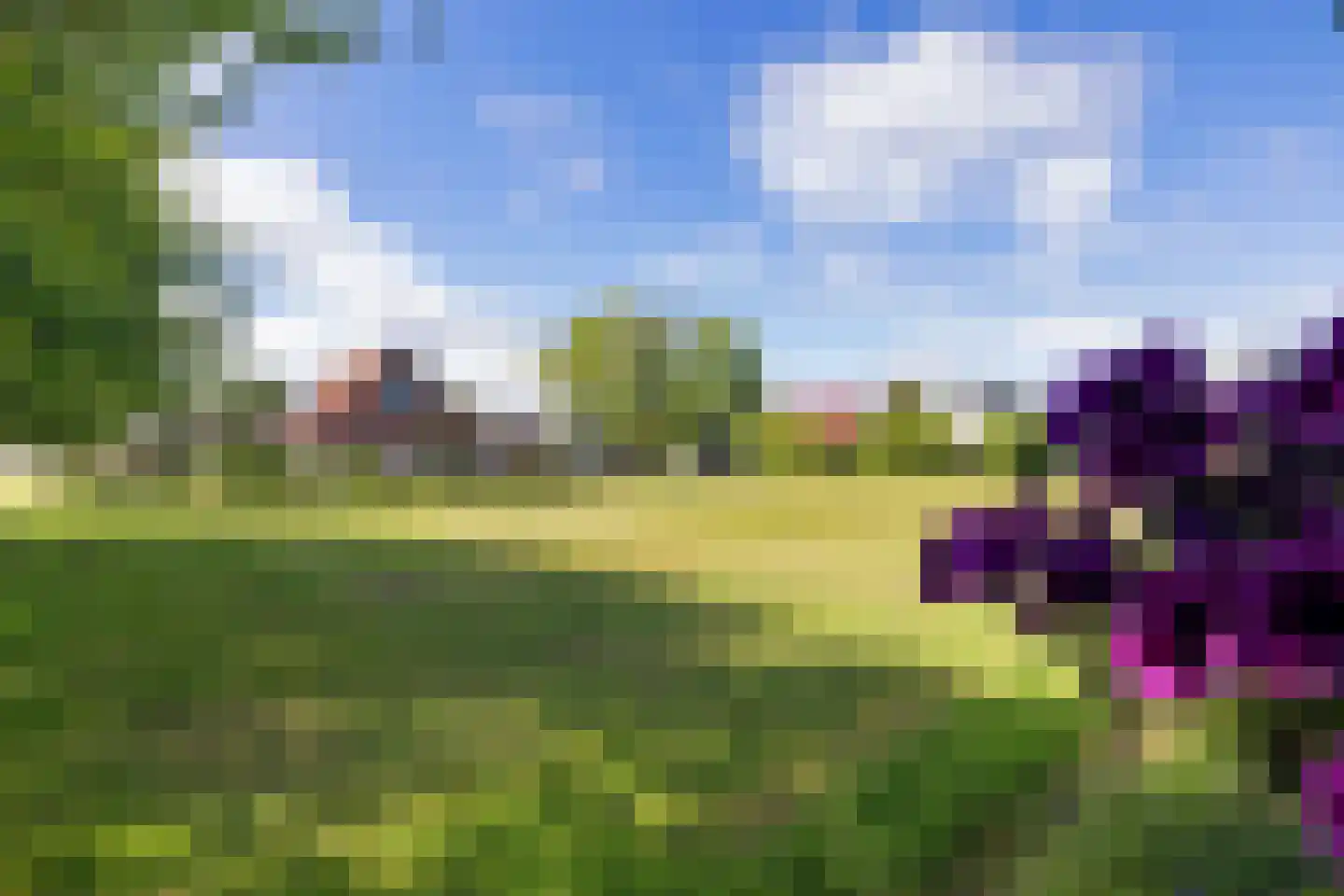 Parkloane 87 De Westereen thumbnail 40