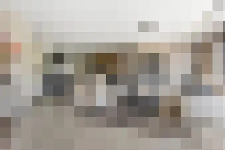 Parkmos 7 Nieuwerkerk aan den IJssel thumbnail 10