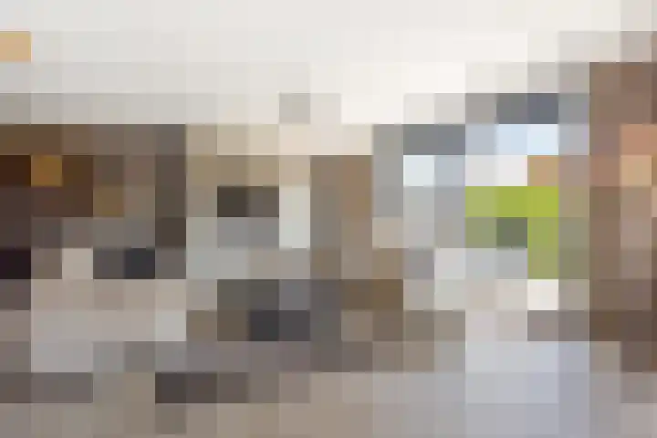 Parkmos 7 Nieuwerkerk aan den IJssel thumbnail 11