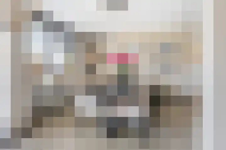 Parkmos 7 Nieuwerkerk aan den IJssel thumbnail 13