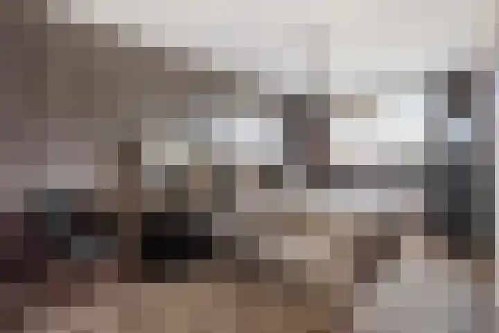 Parkmos 7 Nieuwerkerk aan den IJssel thumbnail 16