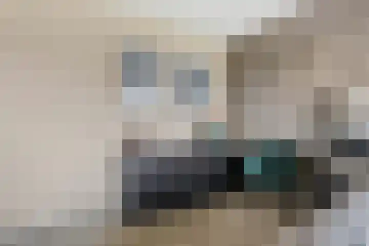 Parkmos 7 Nieuwerkerk aan den IJssel thumbnail 17