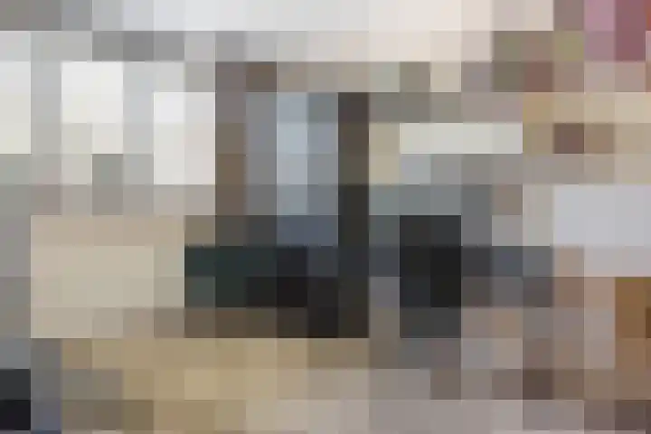 Parkmos 7 Nieuwerkerk aan den IJssel thumbnail 18